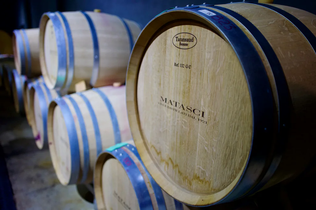 Rows of wine barrels in the Matasci cellar in Ticino