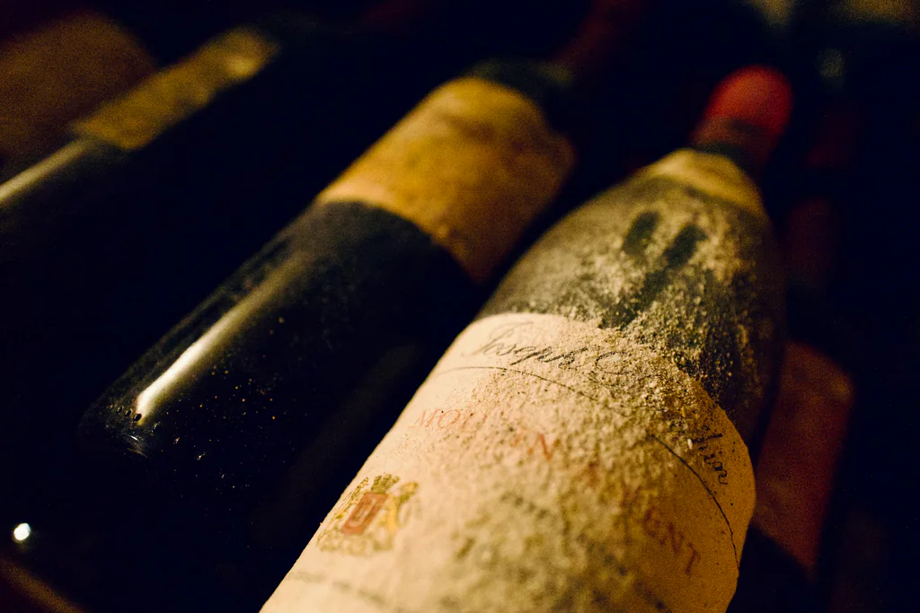 A close view of aged bottles and handwritten labels in a Ticino wine cellar