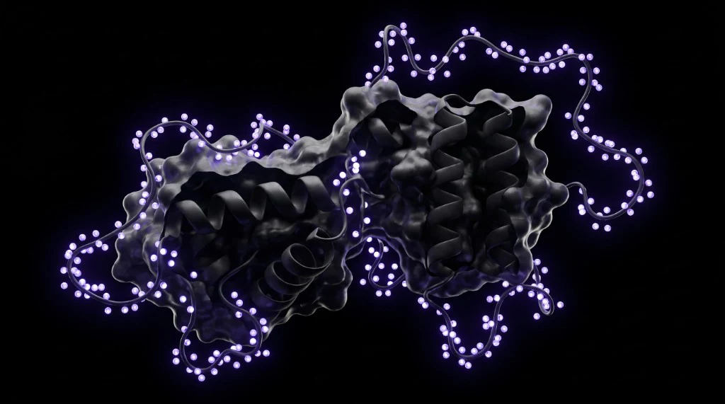 Illustrative molecular rendering of deuterium labeling exposed loops while protected protein regions remain comparatively dark.